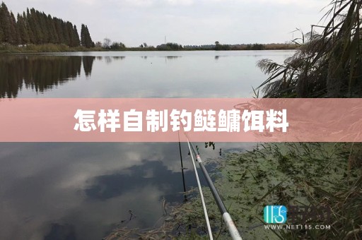 怎样自制钓鲢鳙饵料