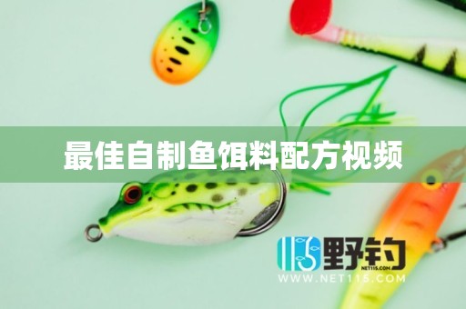 最佳自制鱼饵料配方视频