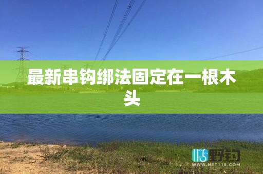 最新串钩绑法固定在一根木头