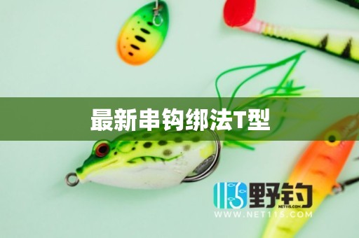 最新串钩绑法T型