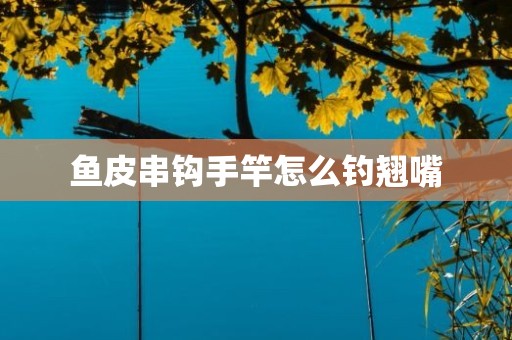 鱼皮串钩手竿怎么钓翘嘴