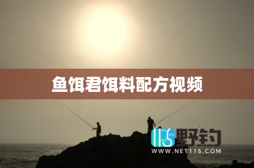 鱼饵君饵料配方视频