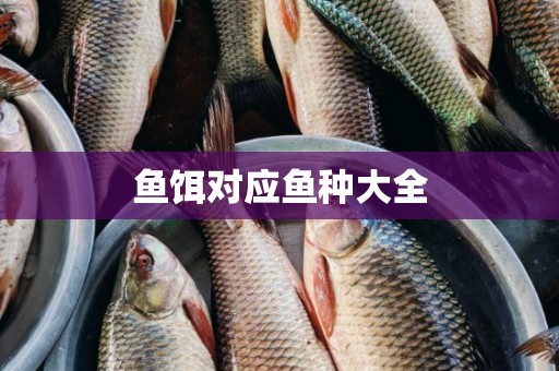 鱼饵对应鱼种大全