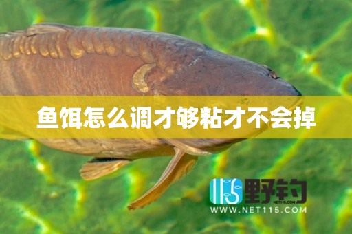 鱼饵怎么调才够粘才不会掉