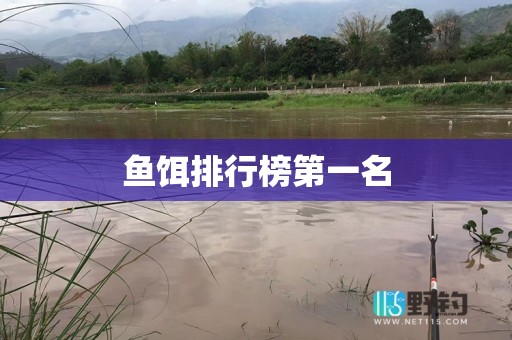 鱼饵排行榜第一名