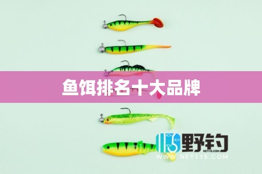 鱼饵排名十大品牌