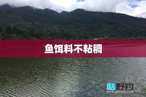 鱼饵料不粘稠