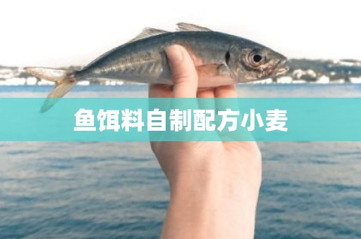 鱼饵料自制配方小麦