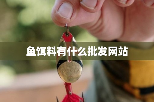 鱼饵料有什么批发网站