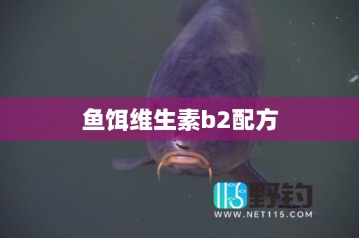 鱼饵维生素b2配方