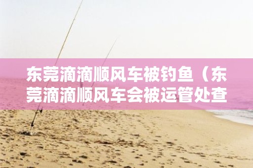 东莞滴滴顺风车被钓鱼（东莞滴滴顺风车会被运管处查吗）