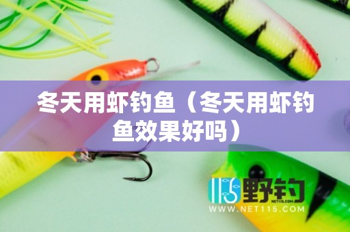 冬天用虾钓鱼（冬天用虾钓鱼效果好吗）