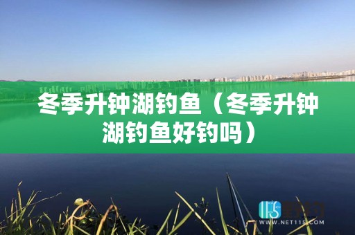 冬季升钟湖钓鱼（冬季升钟湖钓鱼好钓吗）