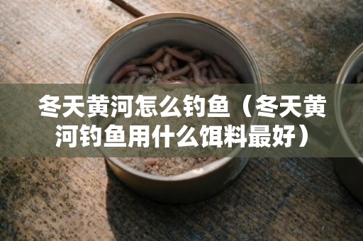 冬天黄河怎么钓鱼（冬天黄河钓鱼用什么饵料最好）