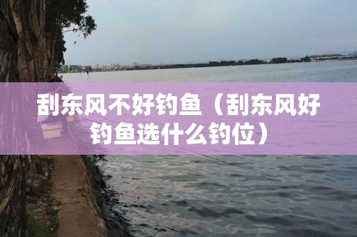 刮东风不好钓鱼（刮东风好钓鱼选什么钓位）