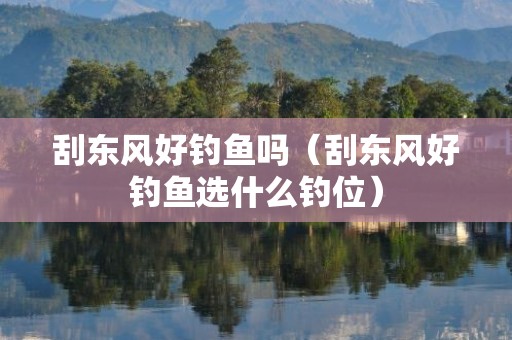 刮东风好钓鱼吗（刮东风好钓鱼选什么钓位）