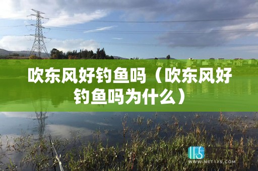 吹东风好钓鱼吗（吹东风好钓鱼吗为什么）