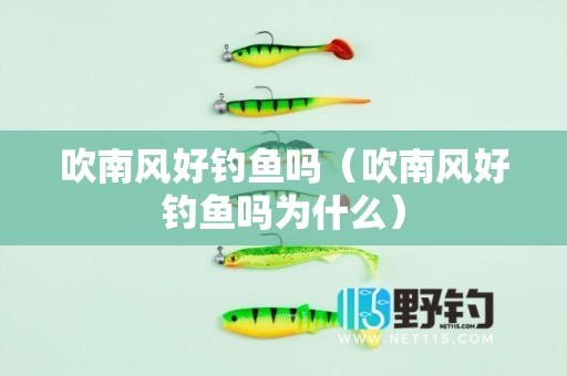 吹南风好钓鱼吗（吹南风好钓鱼吗为什么）