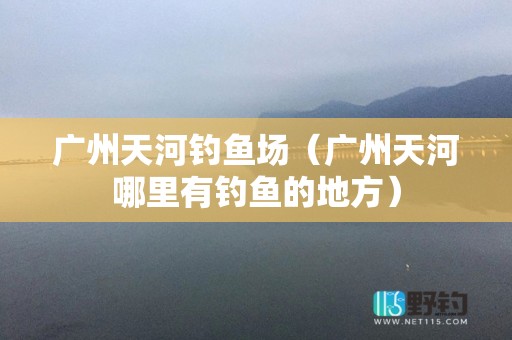 广州天河钓鱼场（广州天河哪里有钓鱼的地方）