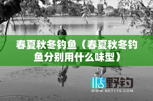 春夏秋冬钓鱼（春夏秋冬钓鱼分别用什么味型）