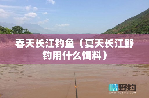 春天长江钓鱼（夏天长江野钓用什么饵料）