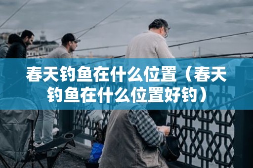 春天钓鱼在什么位置（春天钓鱼在什么位置好钓）