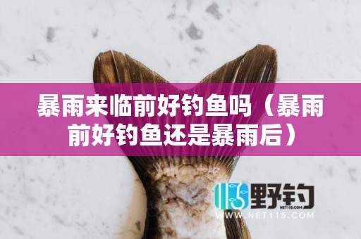 暴雨来临前好钓鱼吗（暴雨前好钓鱼还是暴雨后）