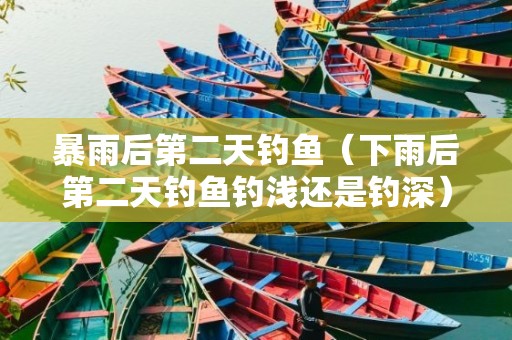 暴雨后第二天钓鱼（下雨后第二天钓鱼钓浅还是钓深）