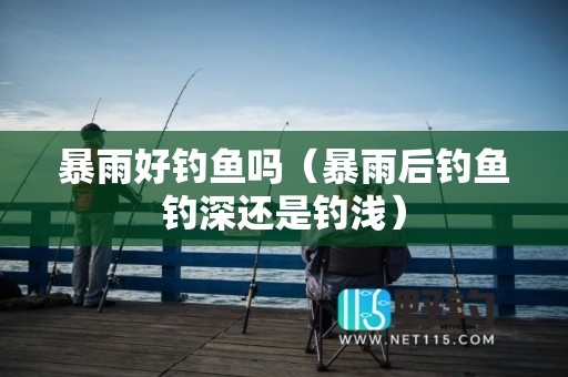 暴雨好钓鱼吗（暴雨后钓鱼钓深还是钓浅）