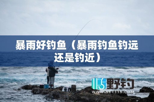 暴雨好钓鱼（暴雨钓鱼钓远还是钓近）
