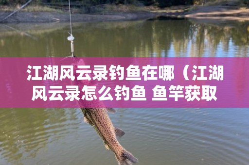 江湖风云录钓鱼在哪（江湖风云录怎么钓鱼 鱼竿获取方法解析）