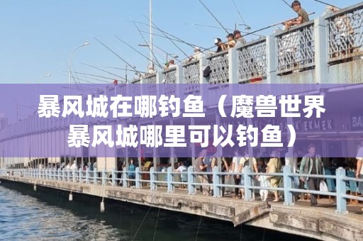 暴风城在哪钓鱼（魔兽世界暴风城哪里可以钓鱼）