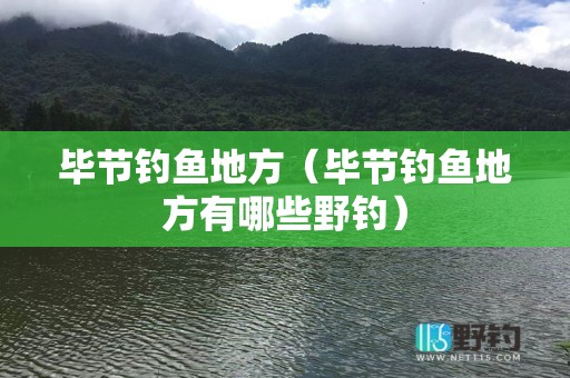 毕节钓鱼地方（毕节钓鱼地方有哪些野钓）