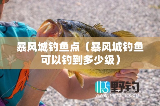 暴风城钓鱼点（暴风城钓鱼可以钓到多少级）