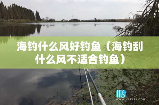 海钓什么风好钓鱼（海钓刮什么风不适合钓鱼）