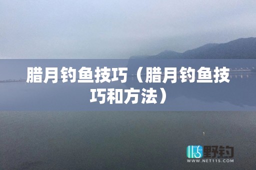 矶钓什么时间钓鱼（矶钓中鱼什么时候扬竿才正确）