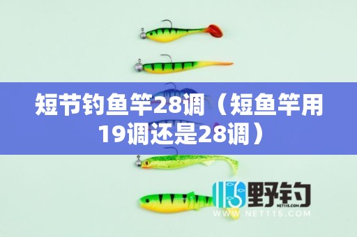 短节钓鱼竿28调（短鱼竿用19调还是28调）