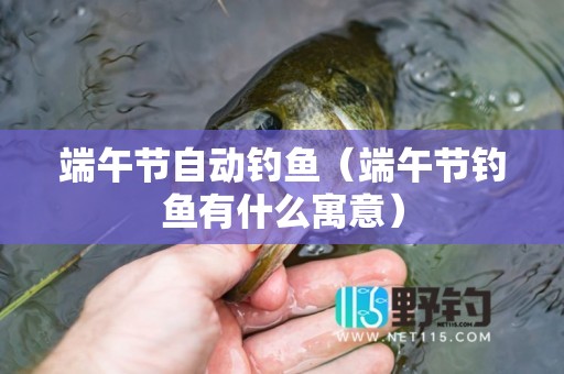 端午节自动钓鱼（端午节钓鱼有什么寓意）