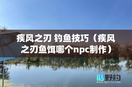 疾风之刃 钓鱼技巧（疾风之刃鱼饵哪个npc制作）