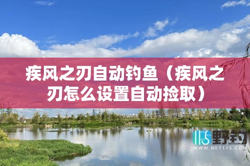 疾风之刃自动钓鱼（疾风之刃怎么设置自动捡取）