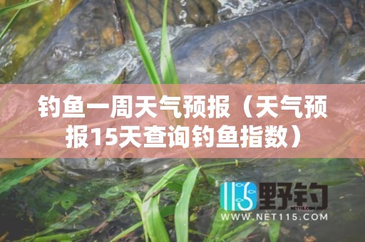 钓鱼一周天气预报（天气预报15天查询钓鱼指数）