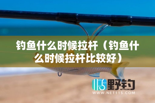 钓鱼什么时候拉杆（钓鱼什么时候拉杆比较好）