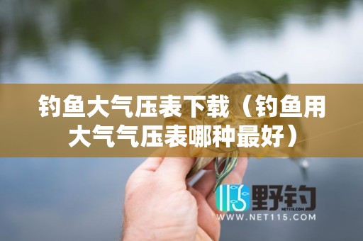 钓鱼大气压表下载（钓鱼用大气气压表哪种最好）