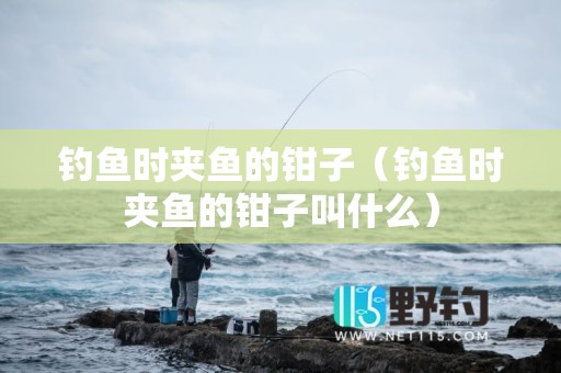 钓鱼时夹鱼的钳子（钓鱼时夹鱼的钳子叫什么）