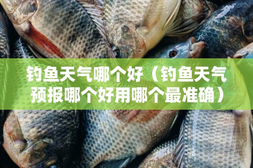 钓鱼天气哪个好（钓鱼天气预报哪个好用哪个最准确）