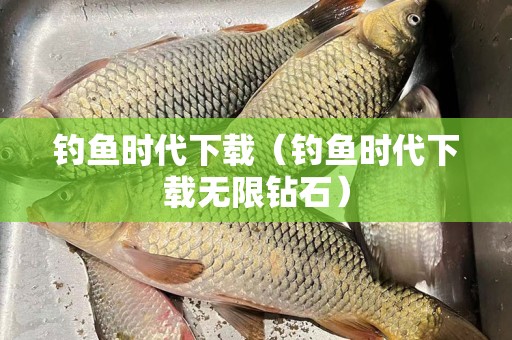 钓鱼时代下载（钓鱼时代下载无限钻石）