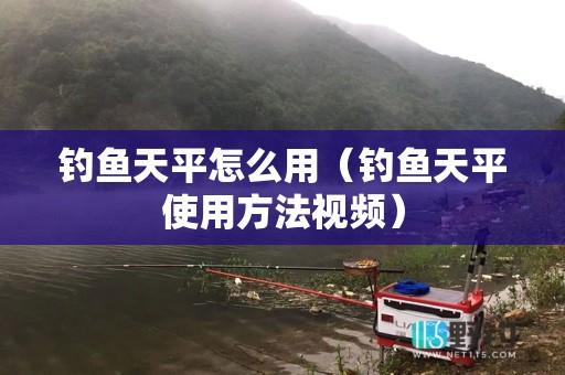 钓鱼天平怎么用（钓鱼天平使用方法视频）