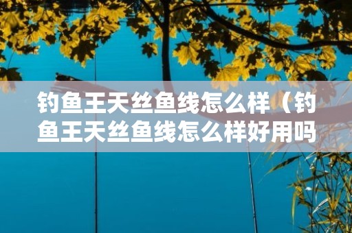 钓鱼王天丝鱼线怎么样（钓鱼王天丝鱼线怎么样好用吗）