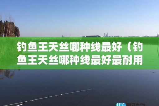 钓鱼王天丝哪种线最好（钓鱼王天丝哪种线最好最耐用）