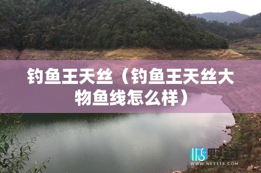 钓鱼王天丝（钓鱼王天丝大物鱼线怎么样）
